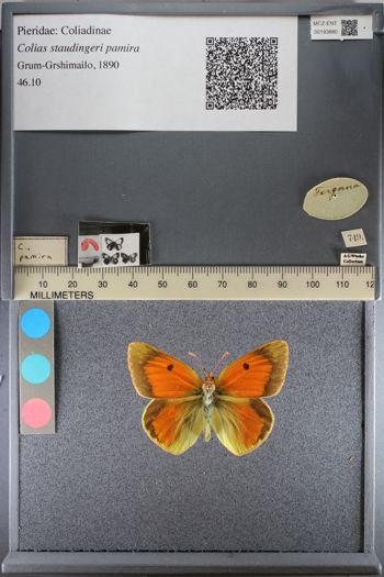 Media type: image;   Entomology 193880